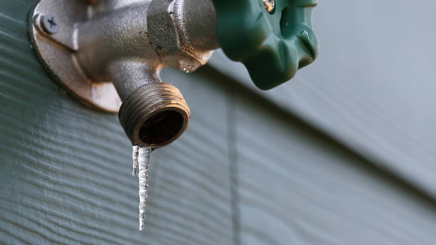 Best Sewer Line Repair  in Lake Bluff, IL